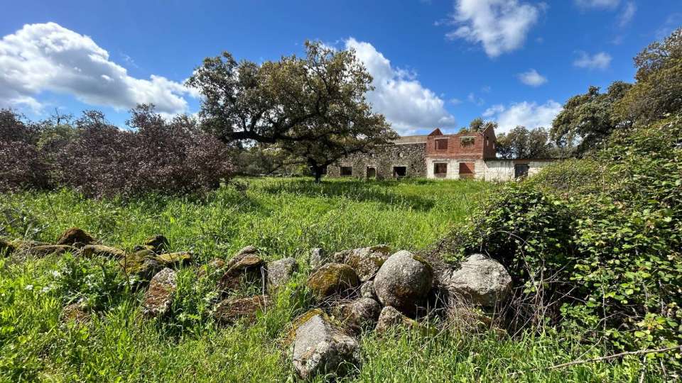 terreny en venda en real de la jara